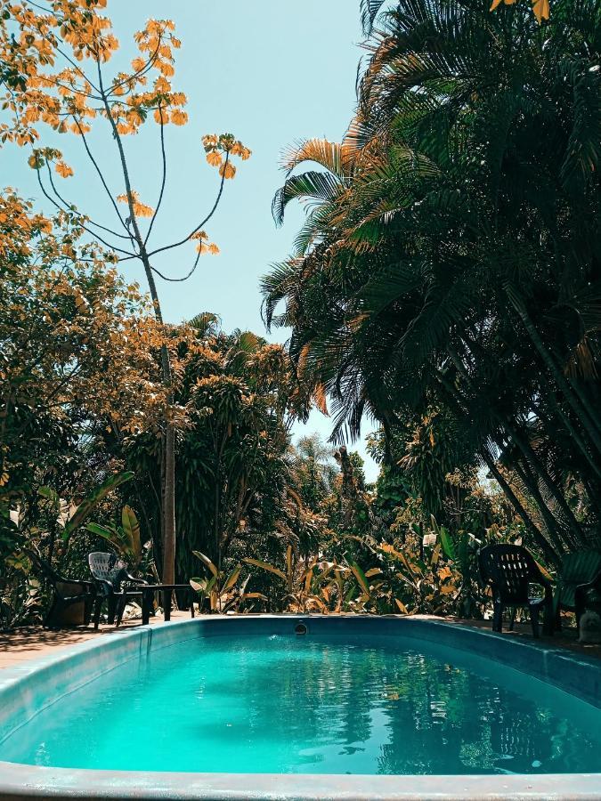 Garden Stone Pansiyon Puerto Iguazú Dış mekan fotoğraf